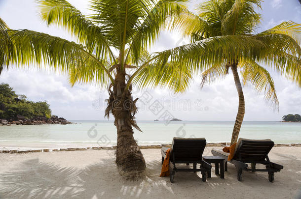 塞舌尔热带景观景观景观躺椅
