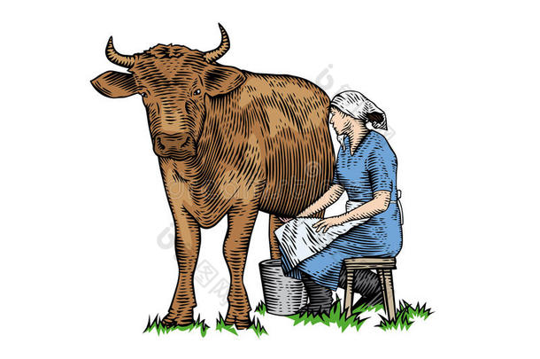 后院棕色的水桶国家奶牛