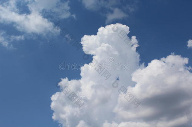 云，像一匹马，<strong>蓝天</strong>和<strong>鸽子</strong>在天空中