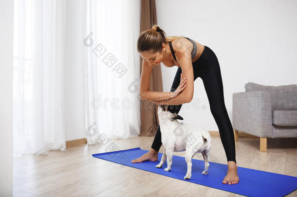 漂亮的健身女孩用狗做运动锻炼