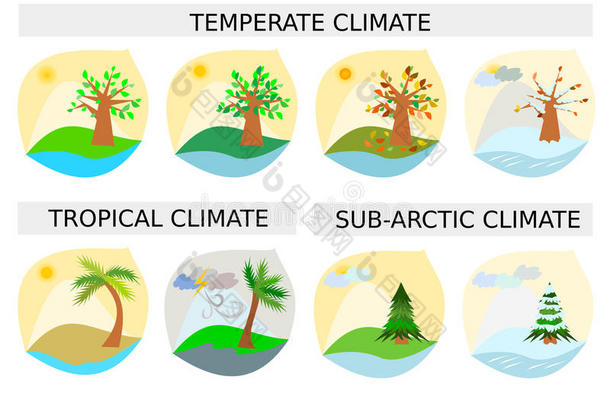 八个不同的季节类型图标/简单的图纸