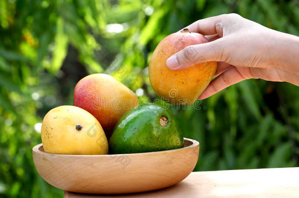 新鲜成熟的芒果和鳄梨放在木碗里