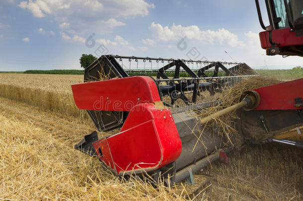 <strong>联合收割机</strong>关闭。 <strong>联合收割机</strong>收割小麦。 谷物收割结合在一起。 结合收割小麦。 麦田bl