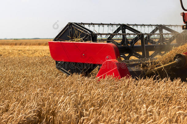 联合收割机关闭。 联合收割机收割小麦。 谷物收割结合在一起。 结合收割小麦。 麦田bl