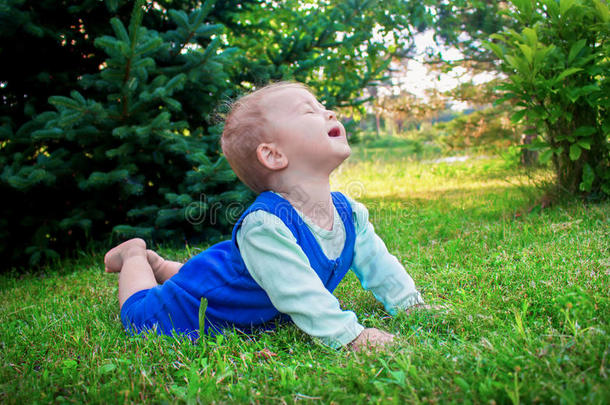 可爱<strong>微笑</strong>的小<strong>婴儿躺</strong>在公园里的一棵新鲜的青草上