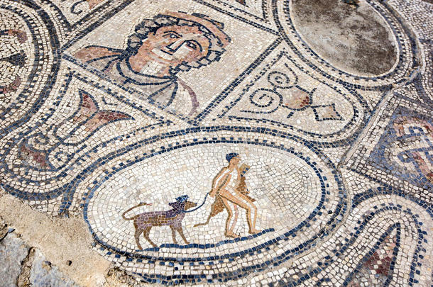 一种马赛克在伏立木在摩洛哥显示大力神捕获和返回与他的宠物塞伯鲁斯，一只三头狗。
