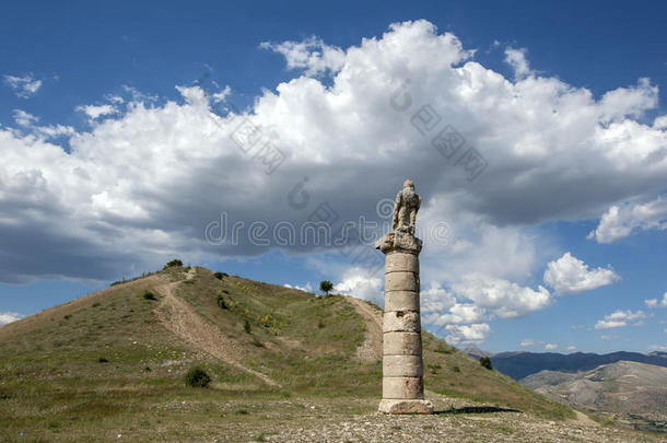 一只老鹰坐在土耳其东南部Salkimbagi附近卡拉库斯图穆卢斯的古遗址的罗马柱顶上。