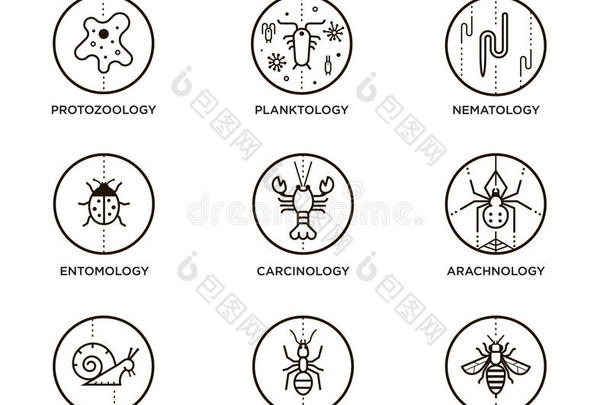 概念线图标设置5生物