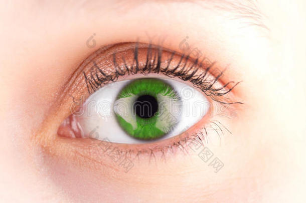 详细的特写绿色眼睛在<strong>高清晰</strong>度