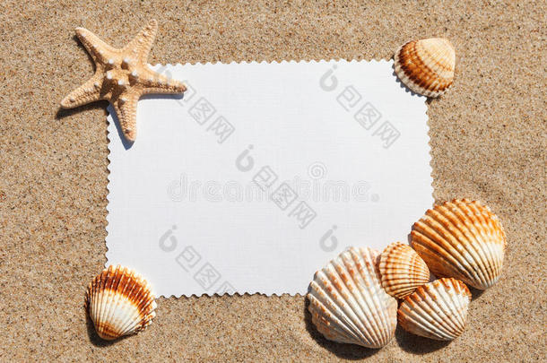 空的白色卡片上有异国情调的贝壳，躺在沙滩上