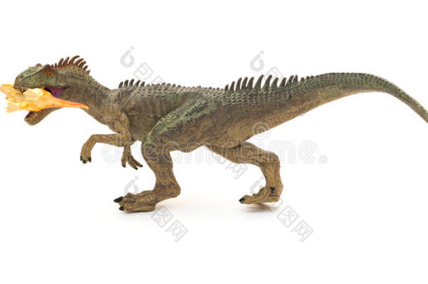 灰色异龙玩具捕捉一个较小的恐龙在白色