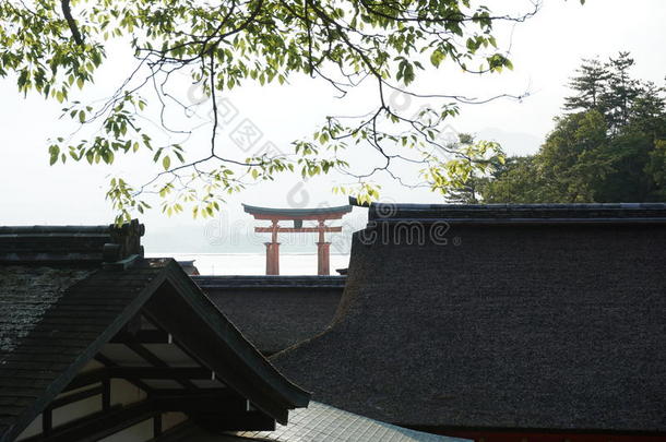 <strong>漂浮</strong>的<strong>橙色</strong>神道圣地宫岛在广岛地区，日本在它的日本岛日落