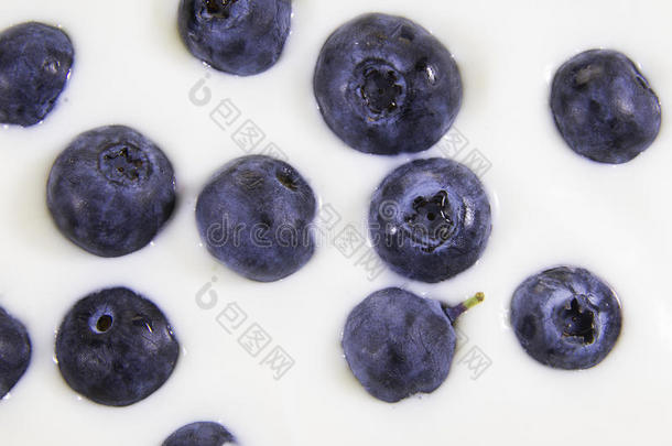 蓝莓背景。概念：健康生活，新鲜营养，健身饮食。