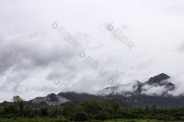 令人惊叹的野生自然景观的深长青林景观在阳光下在夏季中期