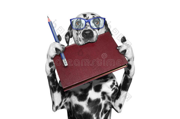 戴眼镜的狗嘴里拿着一本书和一支铅笔