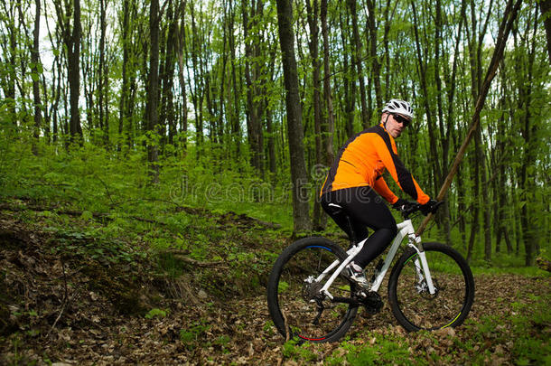 骑自行车的人在夏季森林的小径上骑自行车