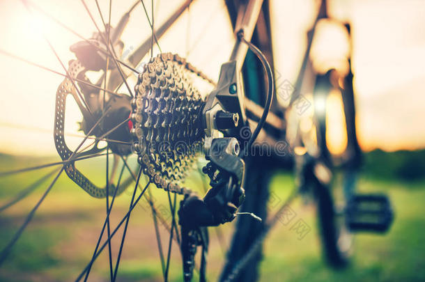 自行车车轮与齿轮杠杆细节，链条和辐条，齿轮机构