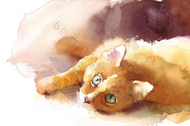 可爱的小猫放下水彩宠物塔比猫肖像插图手绘
