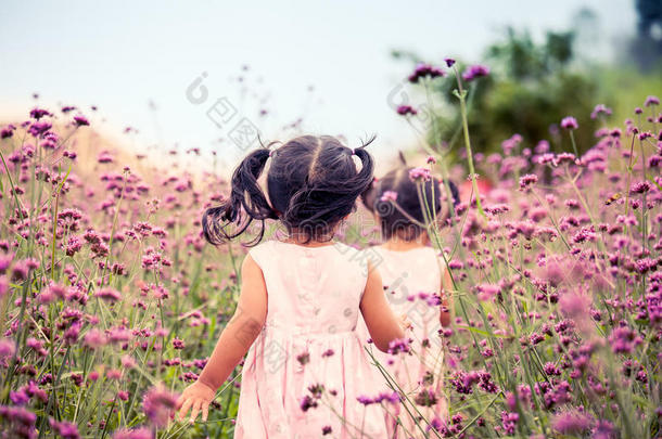 快乐的小女孩在田野里奔跑和玩耍