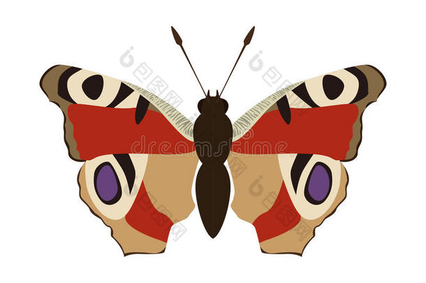 蝴蝶图标。 昆虫设计。 矢量图形