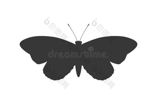 蝴蝶剪影图标。 昆虫设计。 矢量图形