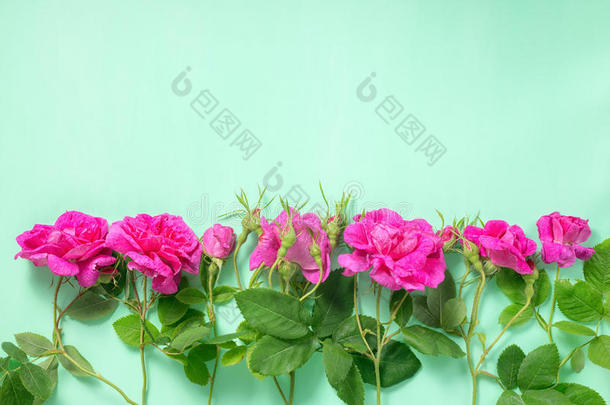 平躺着美丽浪漫的粉红色玫瑰花，有花蕾和L