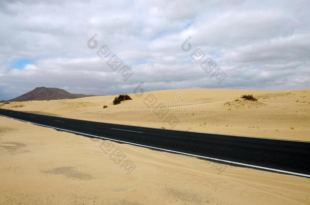 沙丘上的一条路和Fuerteventura上的自然公园Corralejo。