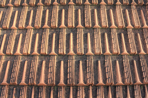 屋顶瓷砖的特写。 屋顶瓷砖。