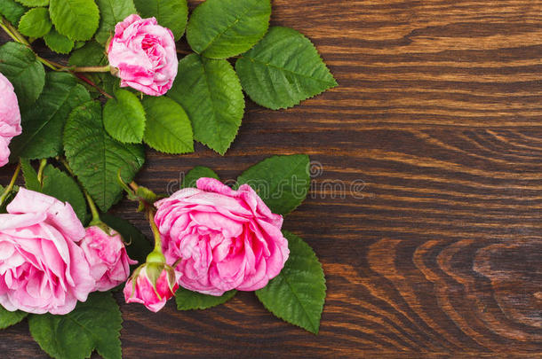 一束淡淡的粉红色茶玫瑰