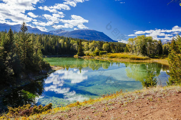 第一个湖泊，5个湖泊的山谷，贾斯珀国家公园，阿尔伯塔