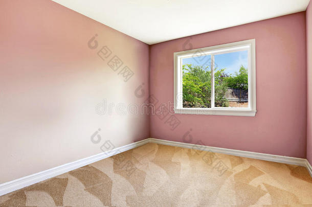 明亮的空房间，一扇窗户，地毯地板和粉红色的墙壁