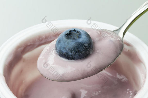 广告背景浆果生物的蓝莓