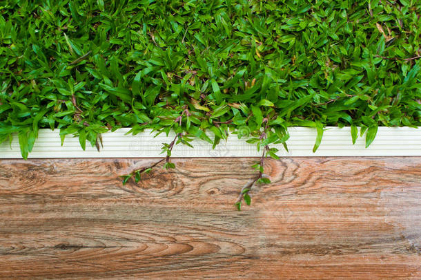 绿色的草和木制的瓷砖露台