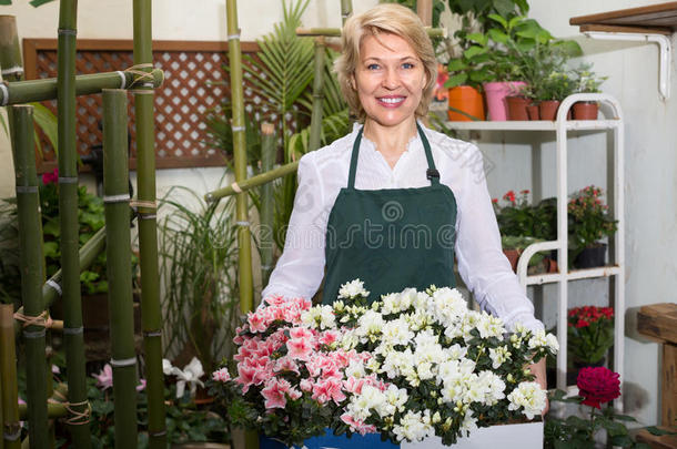 花店里的花店老板