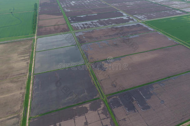 淹水的稻田。 田间<strong>种植水稻</strong>的农艺方法。