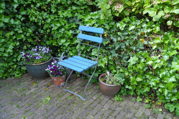 花园里一把浅蓝色的椅子