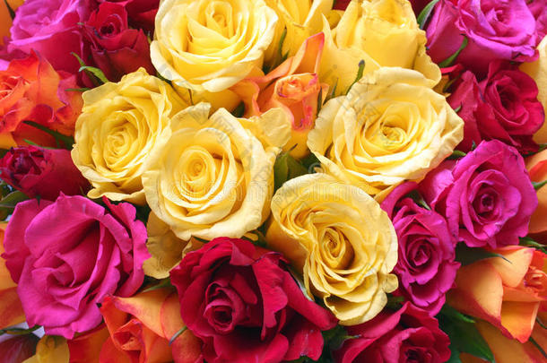 明亮的黄色，橙色，红色和粉红色玫瑰背景