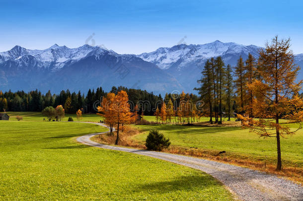 秋景的米门格尔高原与雪覆盖的山脉在背景。 奥地利，欧洲，蒂罗尔