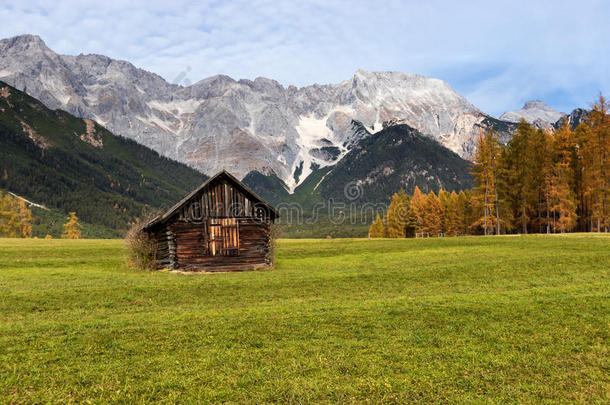 秋乡风光的米门格高原与岩石山的山峰在背景。 奥地利，欧洲，蒂罗尔
