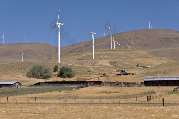 叶片哥伦比亚与电有关的能量农场