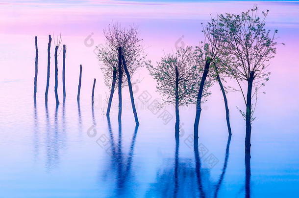 美丽的景观，湖和山在背景和树木在水中。 蓝色和紫色的色调
