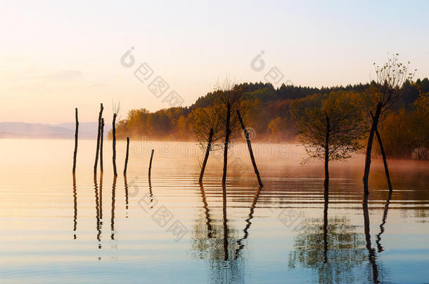 日出时背景有山的美丽湖泊。 水中的树和晨雾。