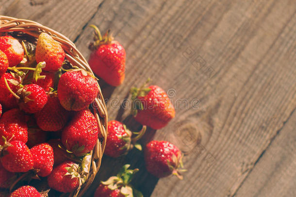 新鲜多汁的草莓浆果在一个固定的篮子里