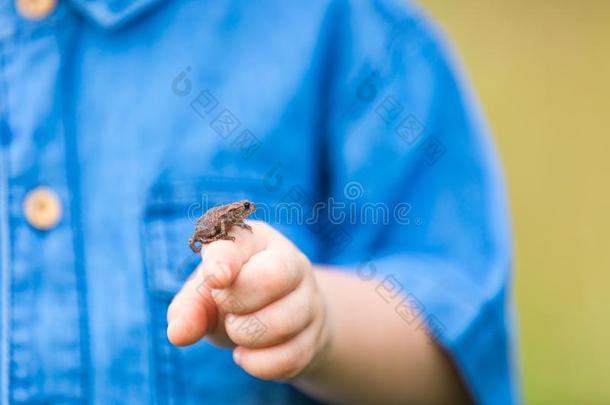 用小青蛙把孩子的手关起来
