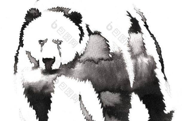 黑白画用水和墨水画熊插图
