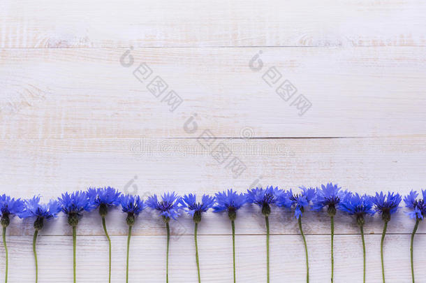 背景与新鲜的矢车菊在一个轻木桌背景。 文字的位置。
