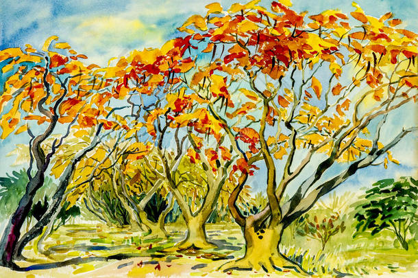 抽象水彩风景原画色彩斑斓的孔雀花树