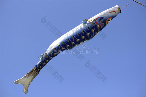 <strong>鲤鱼</strong>流光(Koinobori)