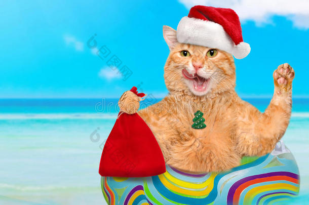 戴着红色圣诞帽的猫在海里的气垫上放松。
