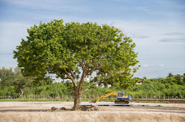 大树和卡车在干燥的土壤上与蓝色的夏季田野